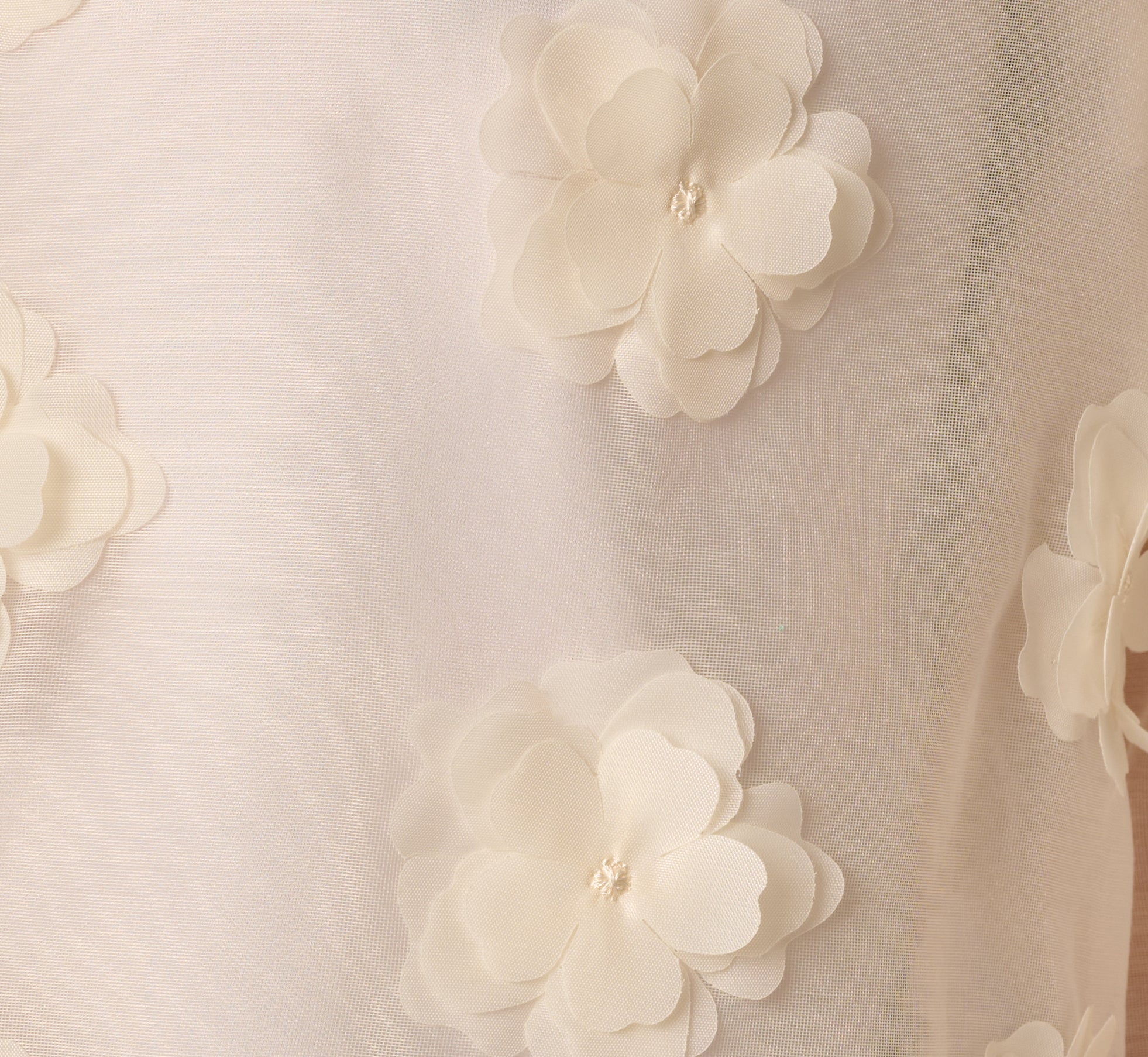 Long Sleeve Sheer 3D Floral Petal Blouse In Cream Frosting