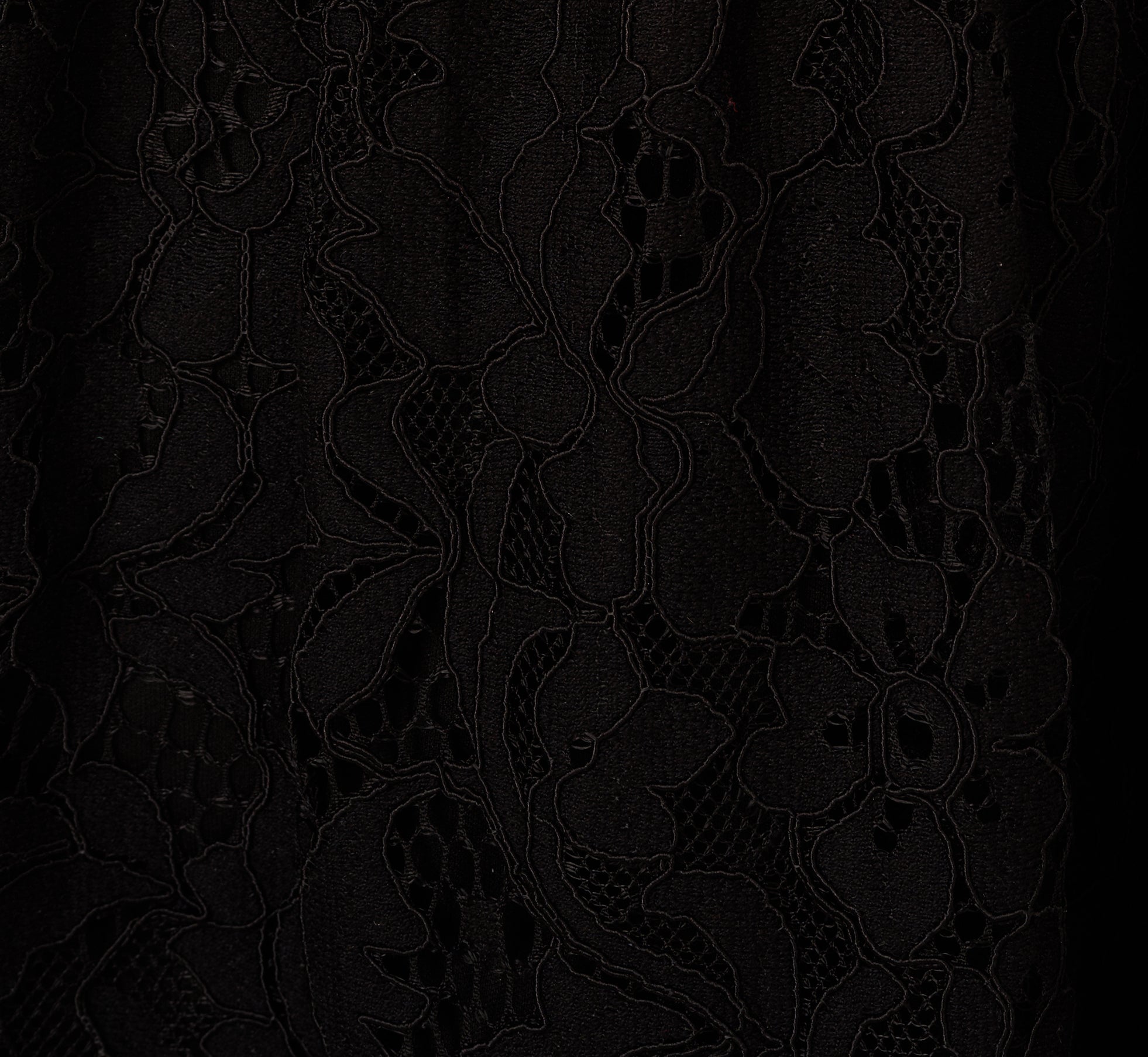 Sleeveless Collared Lace Fit And Flare Dress In Black