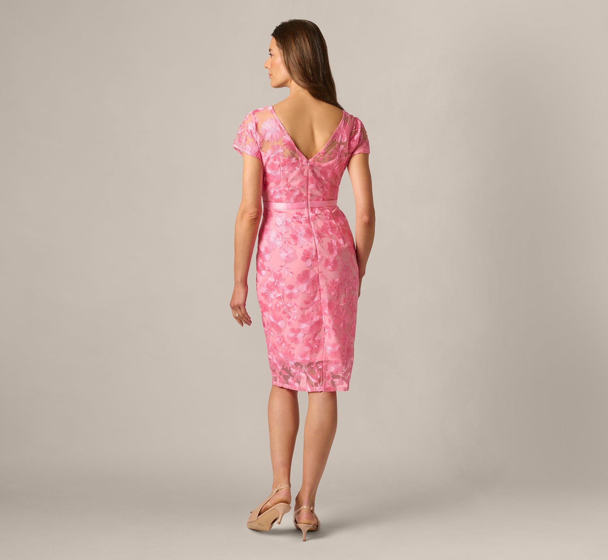 Short Sleeve Embroidered Illusion Sheath Dress In Cherry Blossom